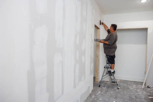 Best Mold Damage Restoration  in Russell Springs, KY